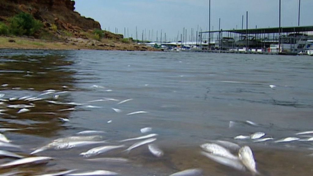 Heat, drought blamed for Grapevine fish kill