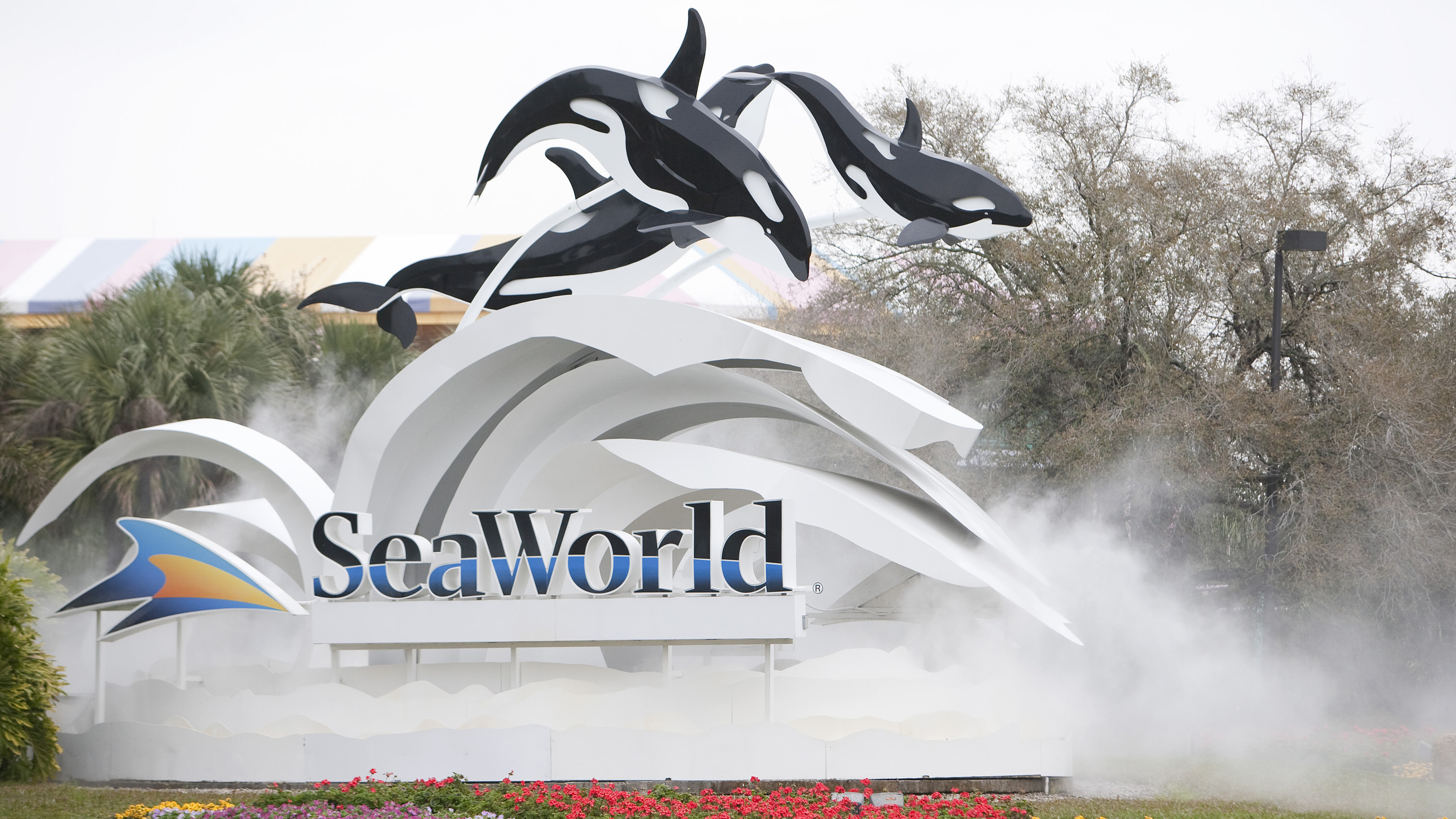 SeaWorld Taps San Diego President to Oversee All Theme Parks