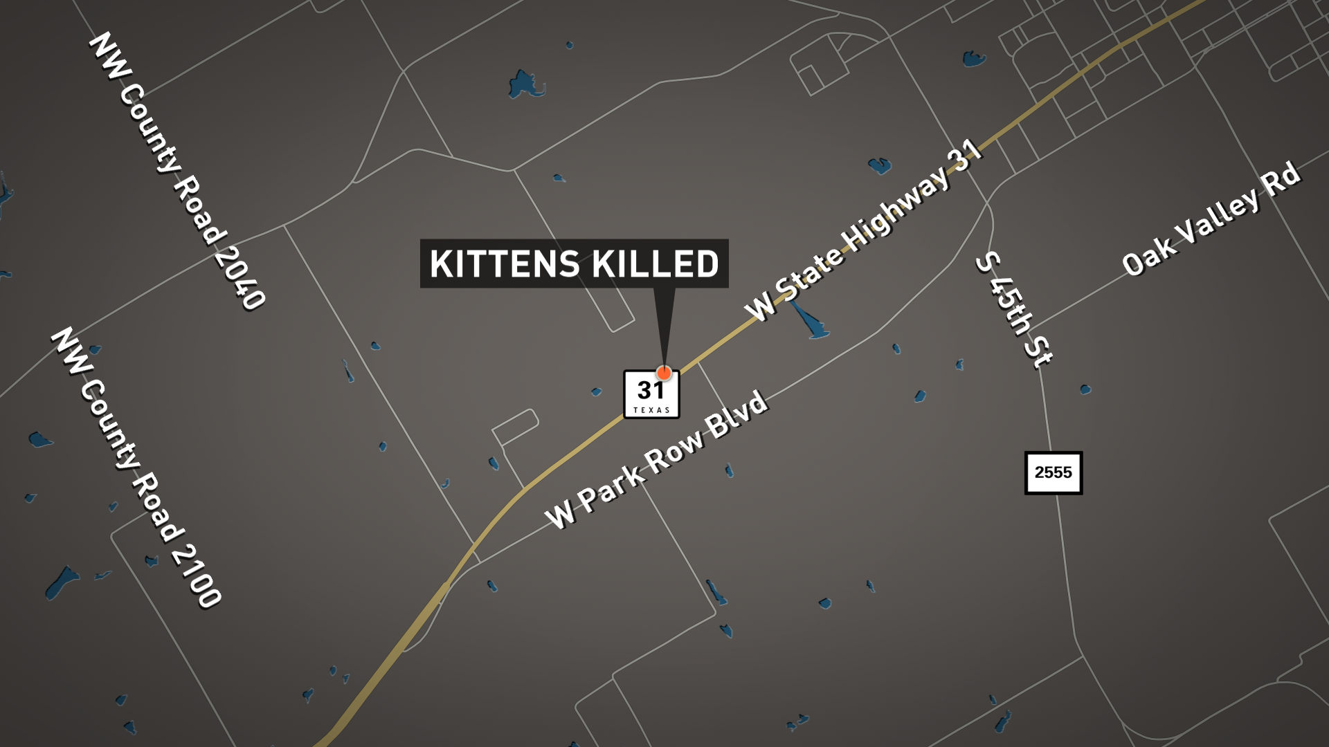 Man arrested for throwing kittens out of moving car | wfaa.com