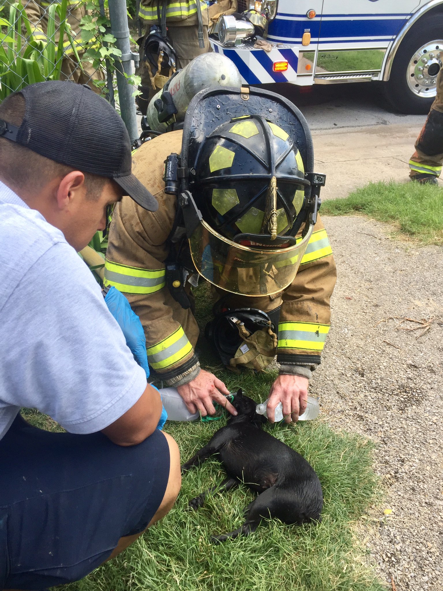 Dog rescued from Fort Worth fire